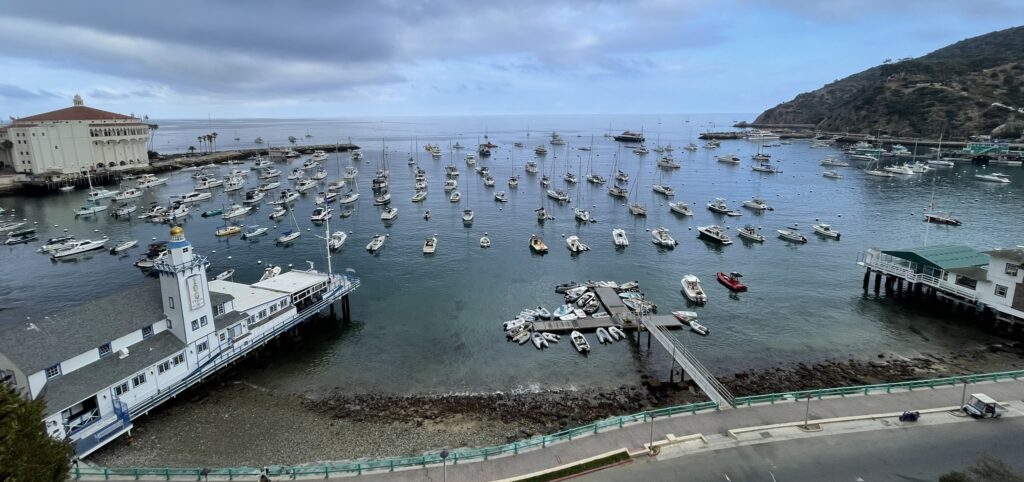 Avalon Harbour