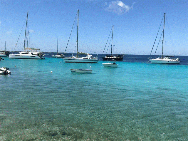 bonaire
